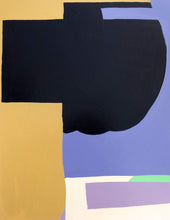 Load image into Gallery viewer, Bulletproof Vest