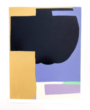 Load image into Gallery viewer, Bulletproof Vest